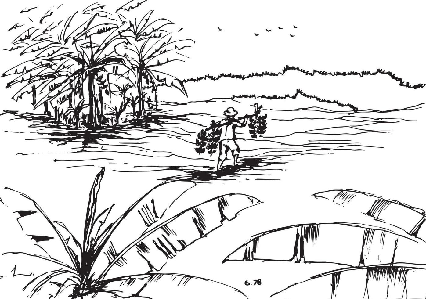 Farmer back from harvesting bananas on banana field vector