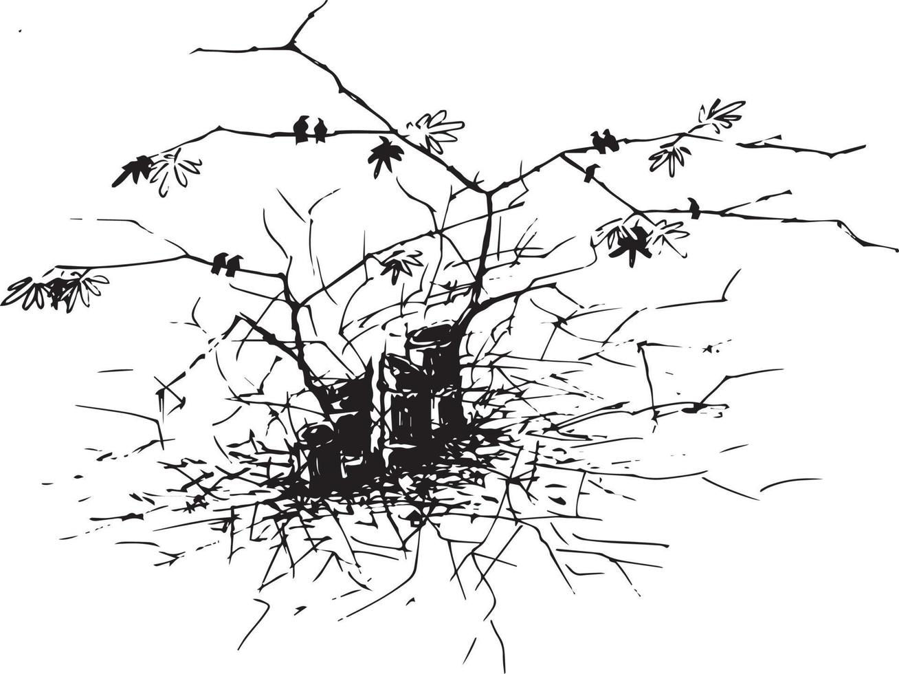 Sketch of bamboo roots black and white. vector