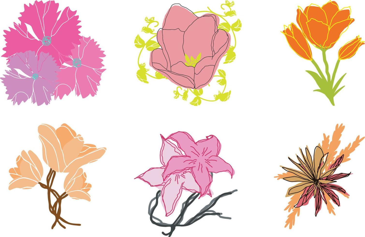 línea vectorial ilustración negra gráficos flores conjunto peonía, protea, tulipán, iris con manchas de colores vector