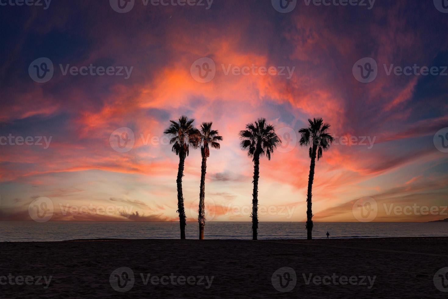 seaside landscape peace and quiet sunset and four palm trees on the beach photo