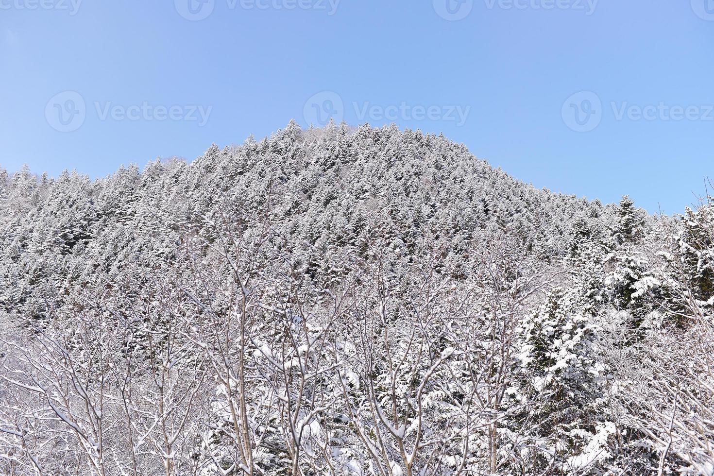 polvo nieve montaña en sapporo, Hokkaido Japón foto