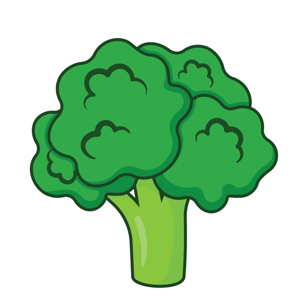 Hand Drawing Broccoli Vector Vegetable Icon Clipart with Outline Stroke, Cabbage on white background