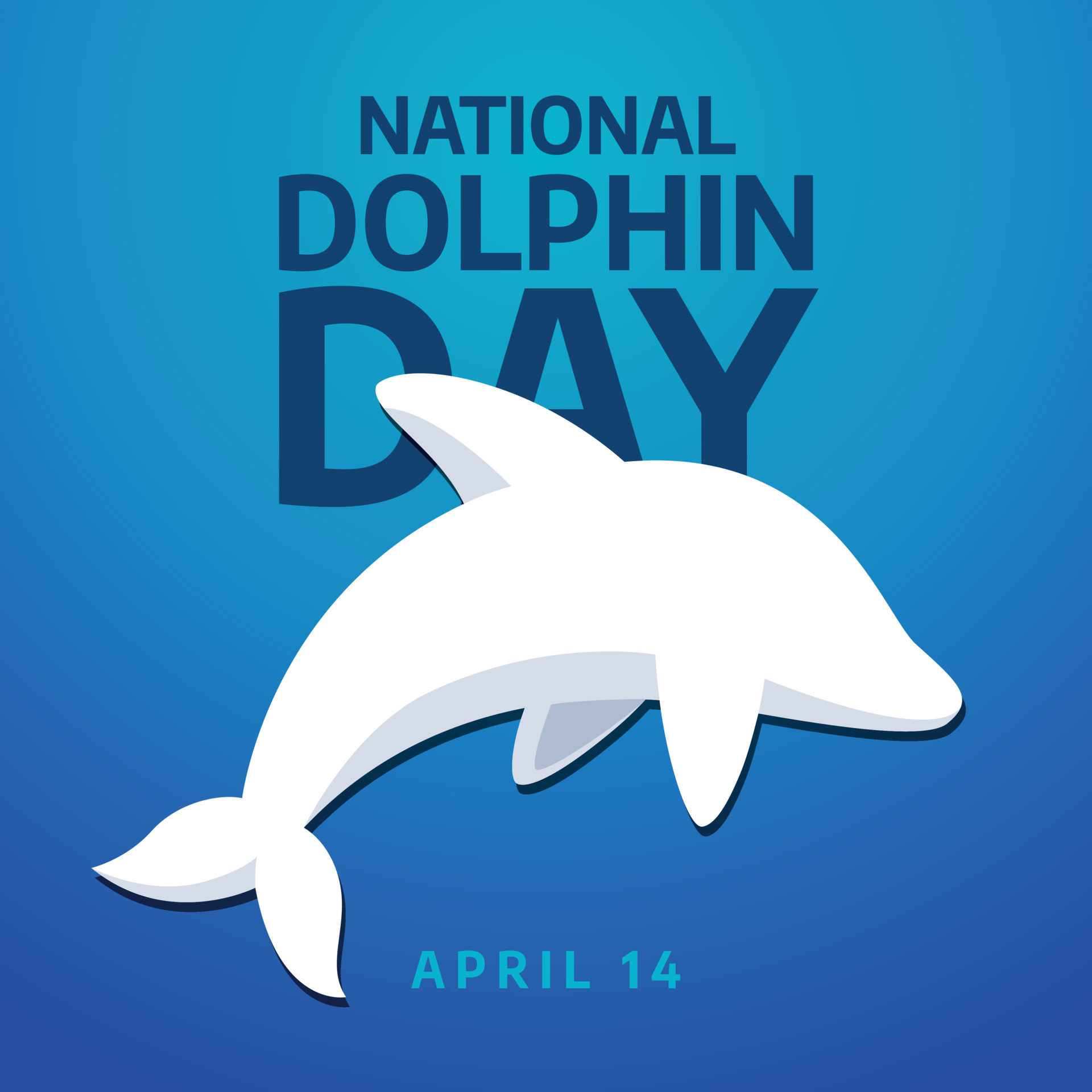 national dolphin day. dolphin day greeting vector design. flat