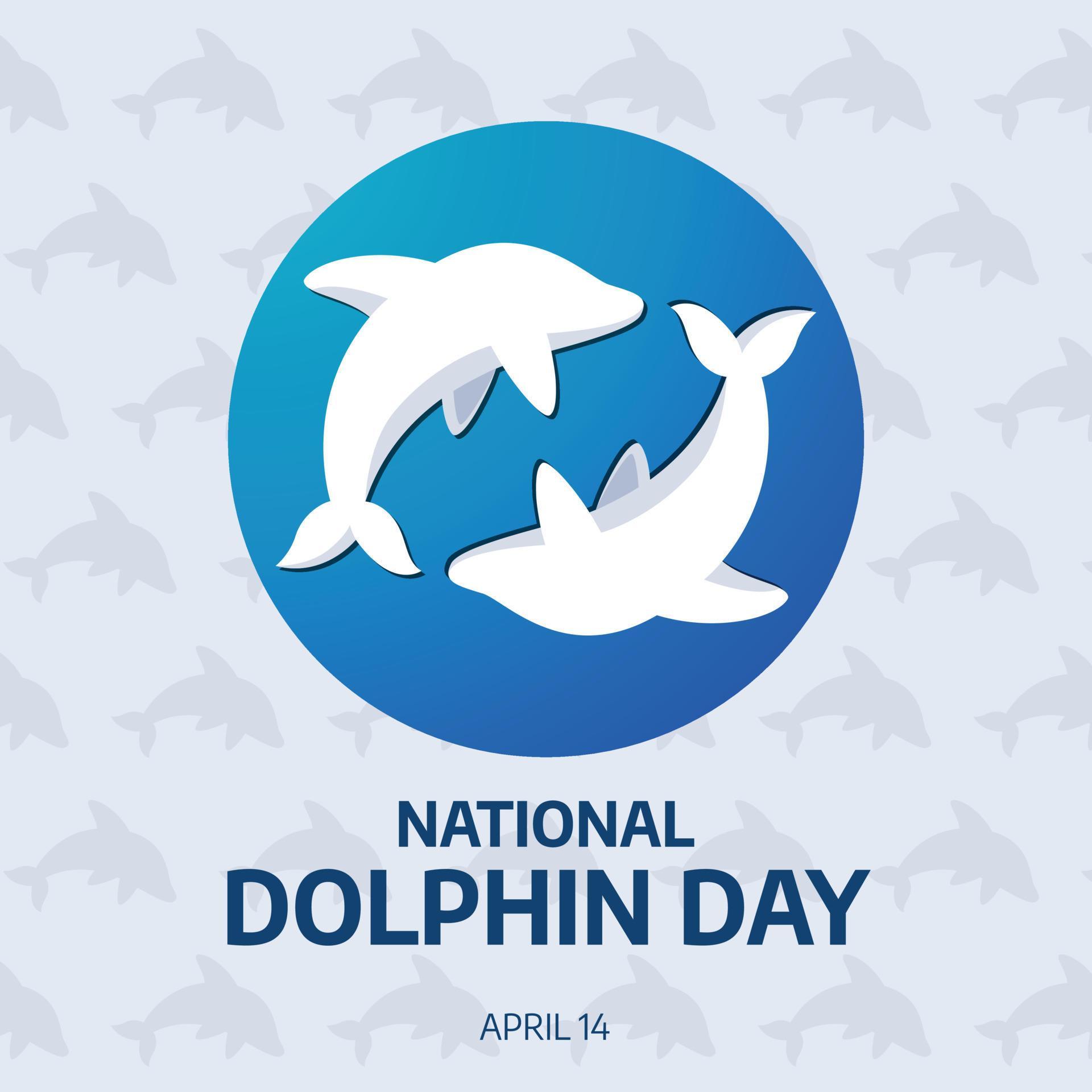 national dolphin day. dolphin day greeting vector design. flat