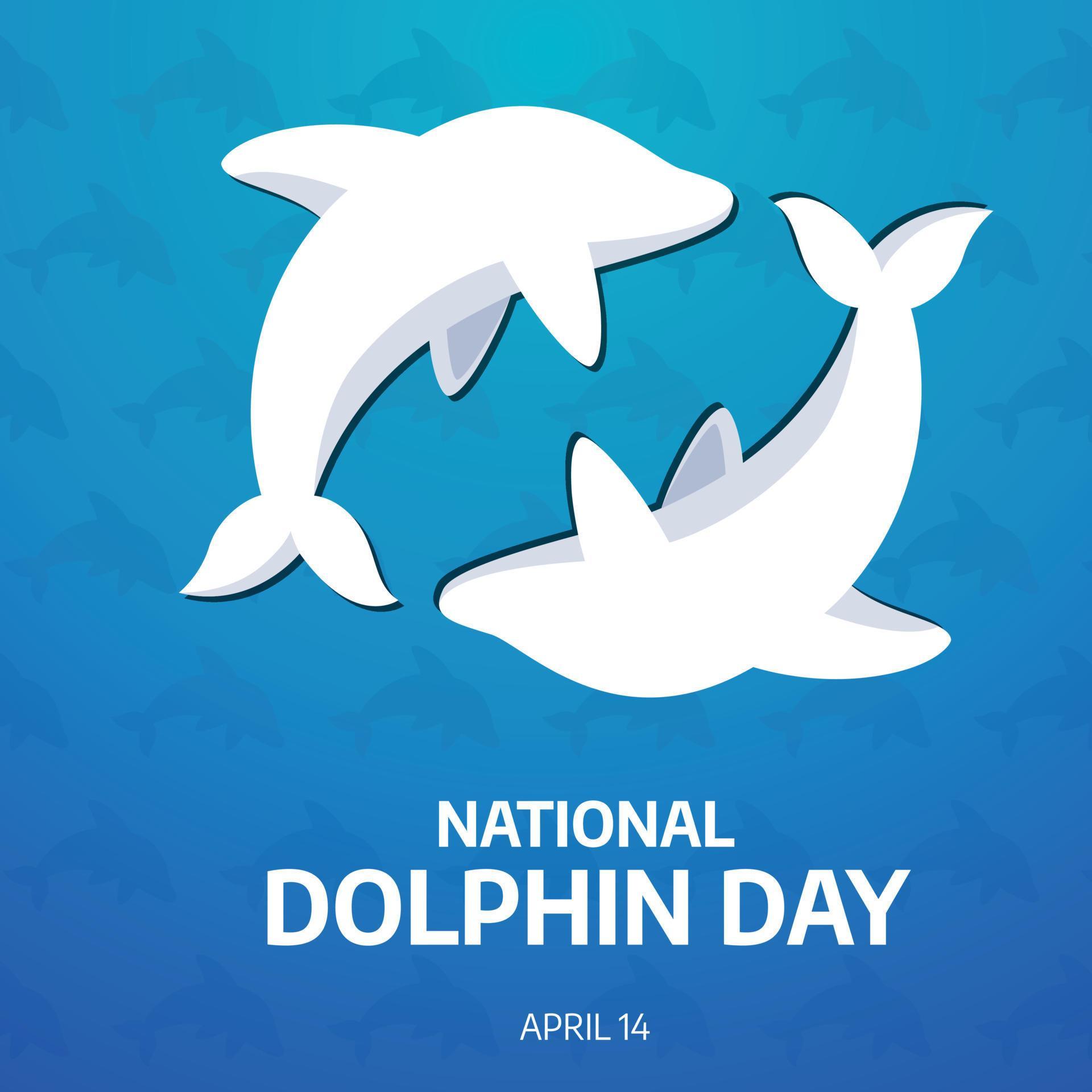 national dolphin day. dolphin day greeting vector design. flat