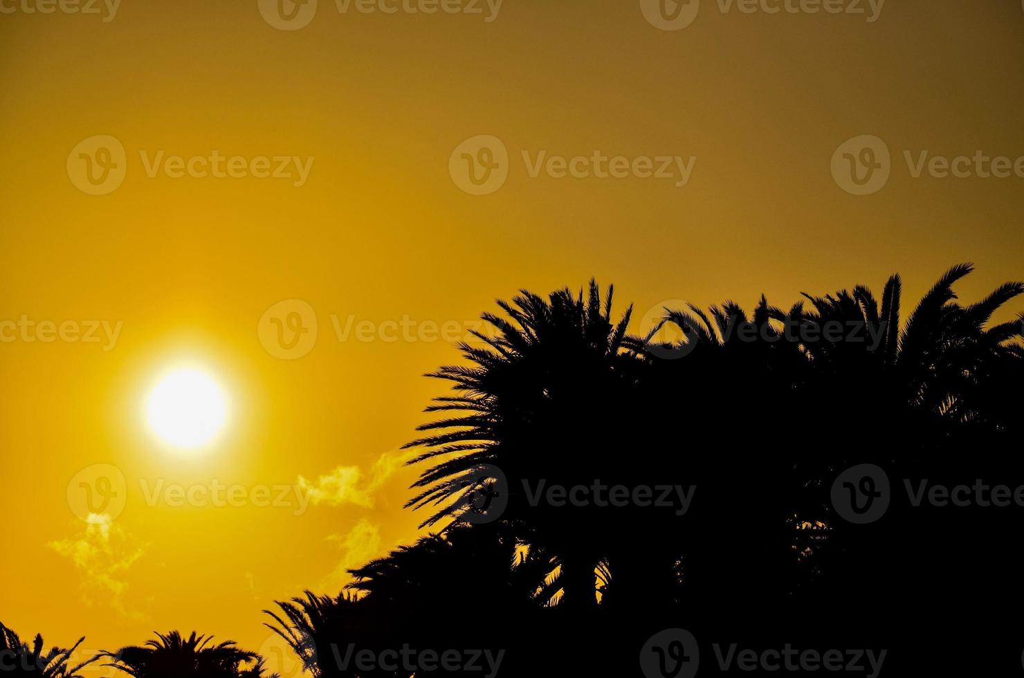 Beautiful sunset view photo