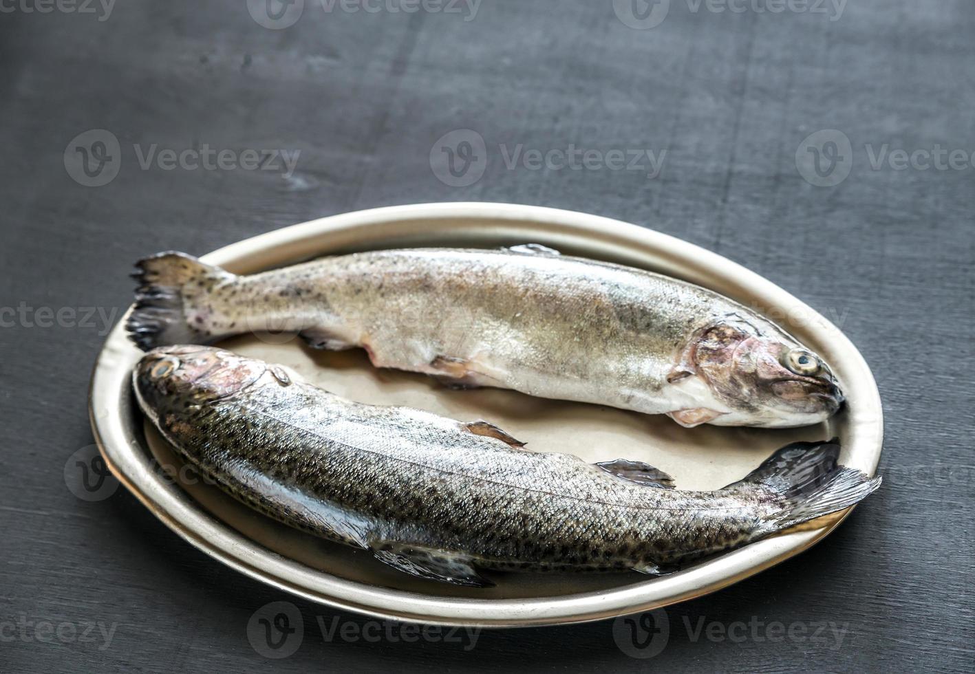 Fresh trouts in ice on the vintage metal tray photo