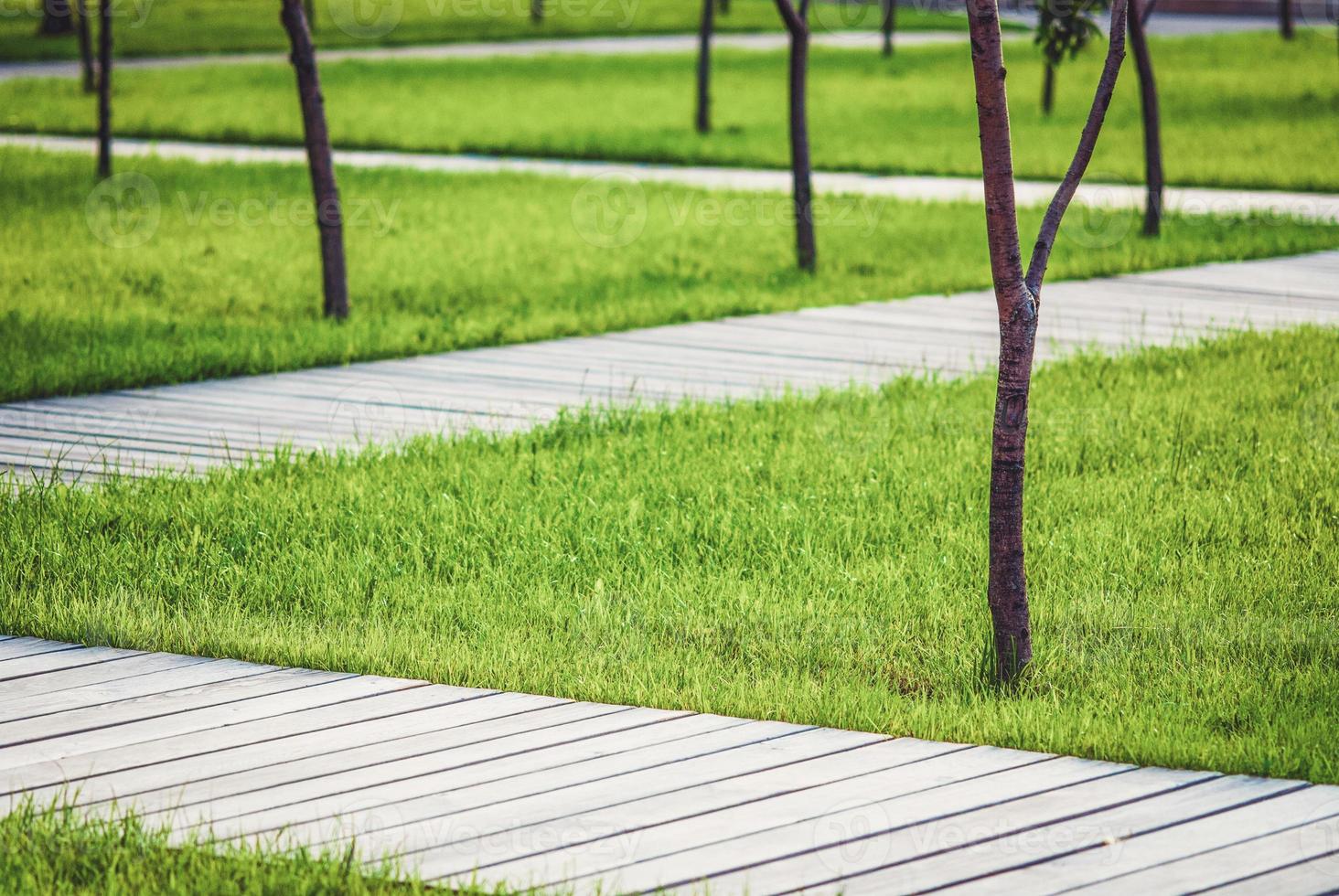 Wooden walkways in summer garden among trees and green grass photo