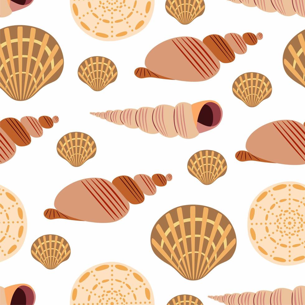 Vector marine seamless pattern with seashells on white background.