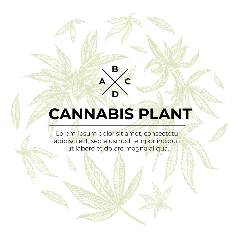 A beautiful sprig of cannabis. Botanical illustration in the style of line art. Plant engraving. Minimalism poster vector