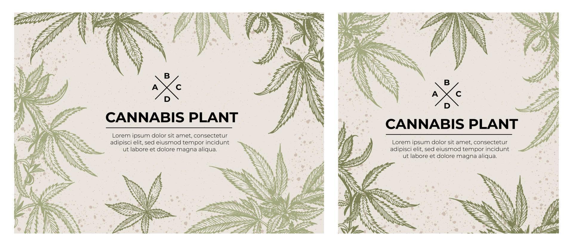 A set of botanical templates. Leaves on eco background. Hemp twigs in line art style, engraving vector