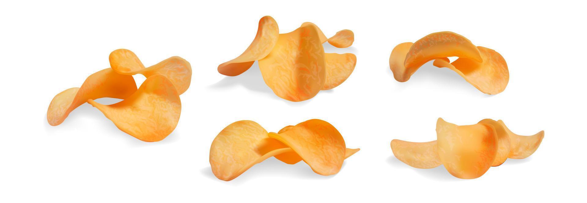 Realistic Detailed 3d Crispy Potato Chips Set. Vector