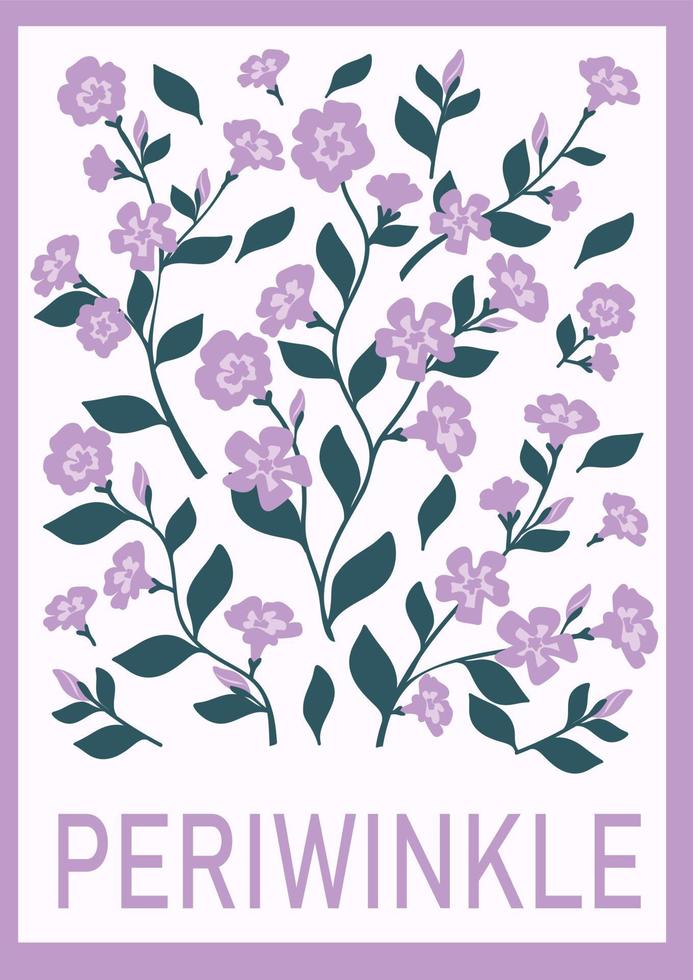 Periwinkle or Vinca minor flowers. Hand drawn periwinkle twigs for ...