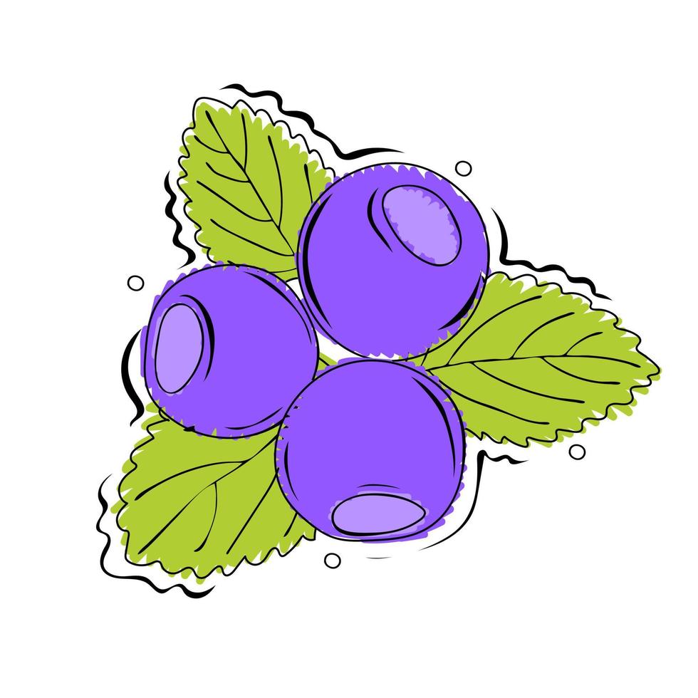Blueberry. Hand drawn vector illustration in sketchy style