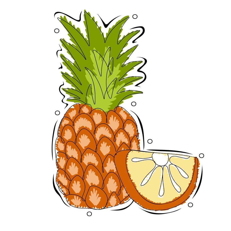 Pineapple whole and slice. Fruits for healthy lifestyle vector