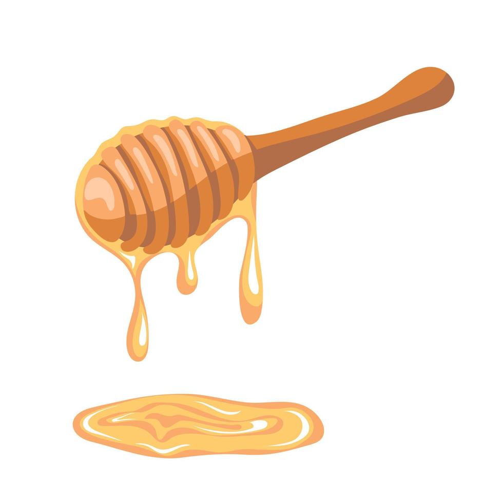 Honey dripping from a wooden honey dipper isolated on white background vector