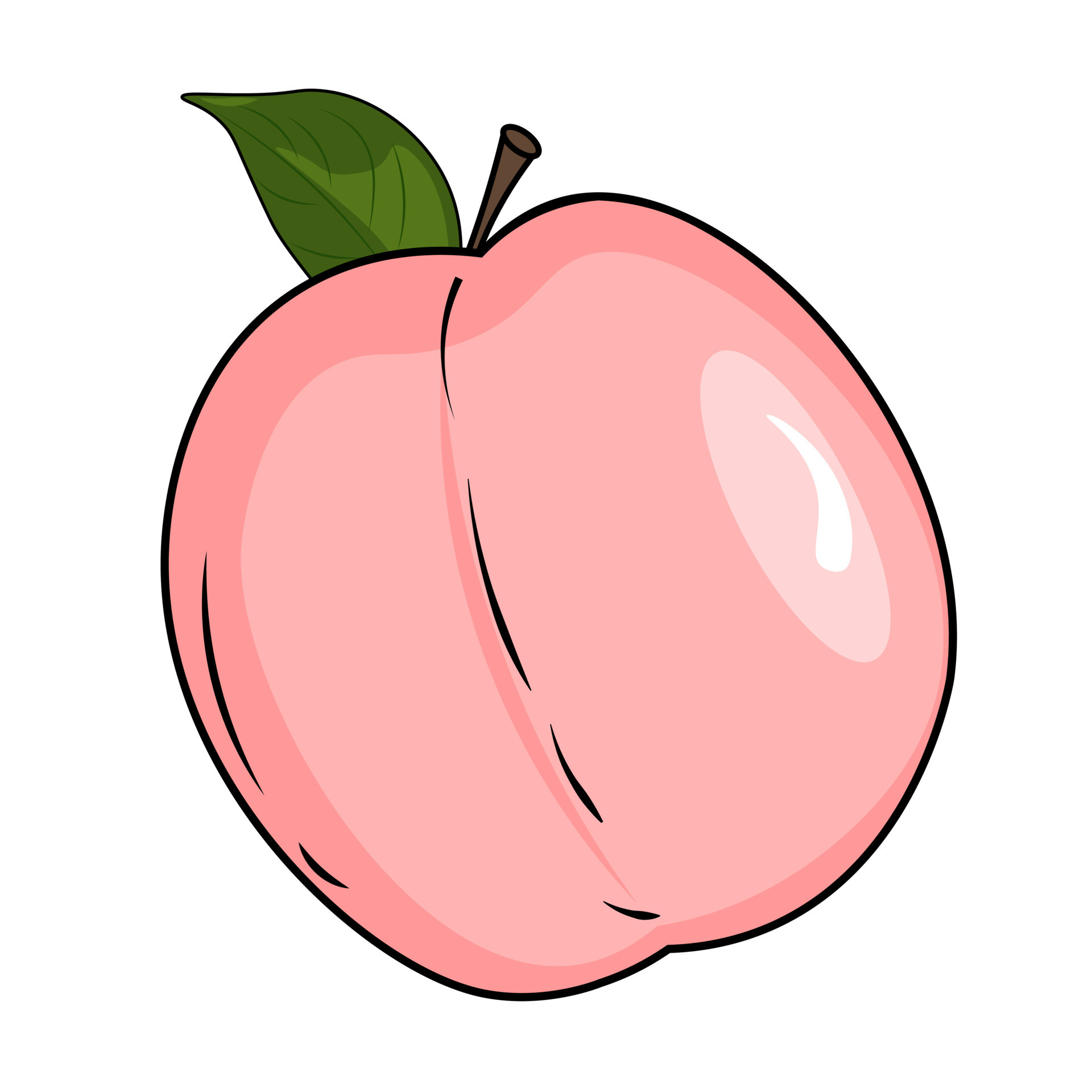 vector illustration of a peach fruit 22168269 Vector Art at Vecteezy