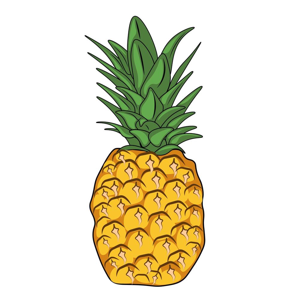 vector illustration of pineapple fruit