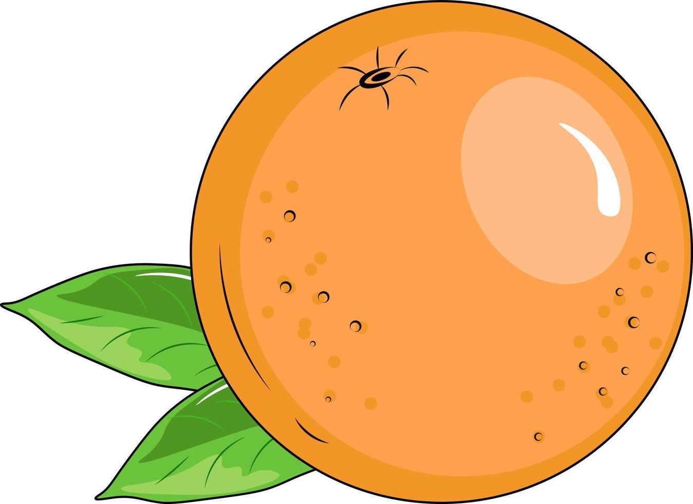 vector illustration of an orange fruit
