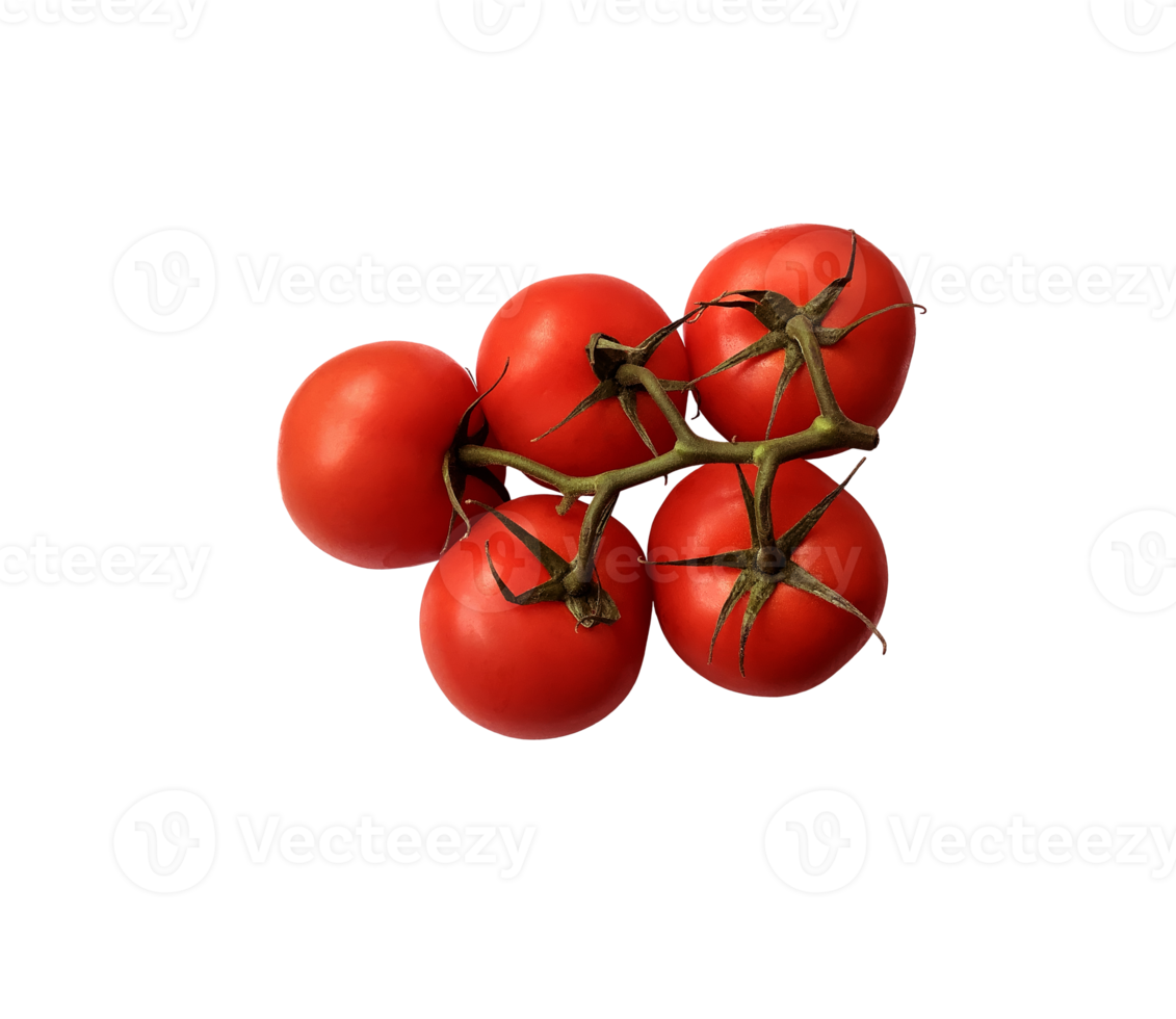 Red ripe tomatoes branch with green stem and leaves, cutout object clipping path, organic vegetable healthy diet concept png