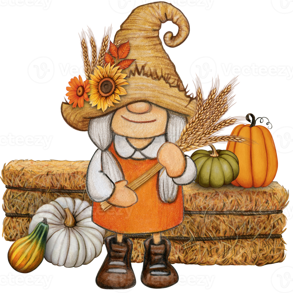 watercolor cute fall season gnome png