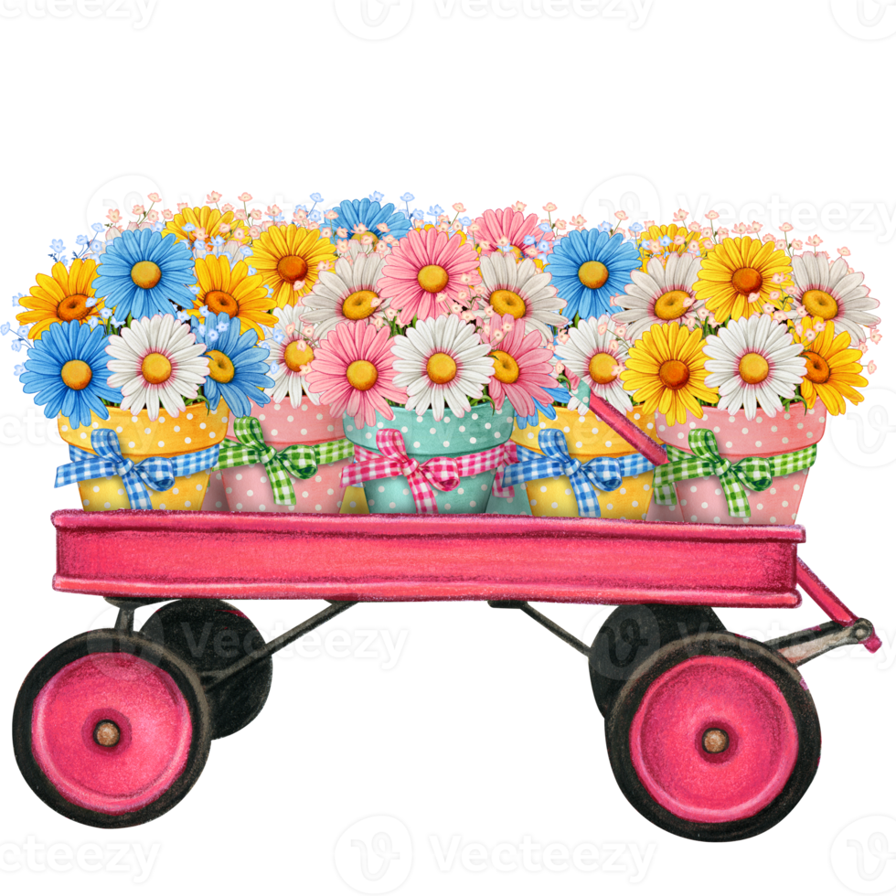 Watercolor vntage garden wagon cart full of daisies png