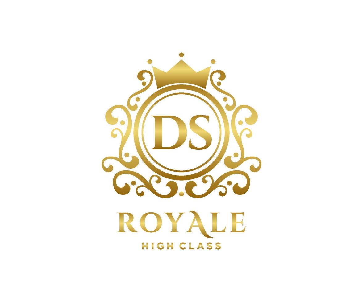 Golden Letter DS template logo Luxury gold letter with crown. Monogram alphabet . Beautiful royal initials letter. vector