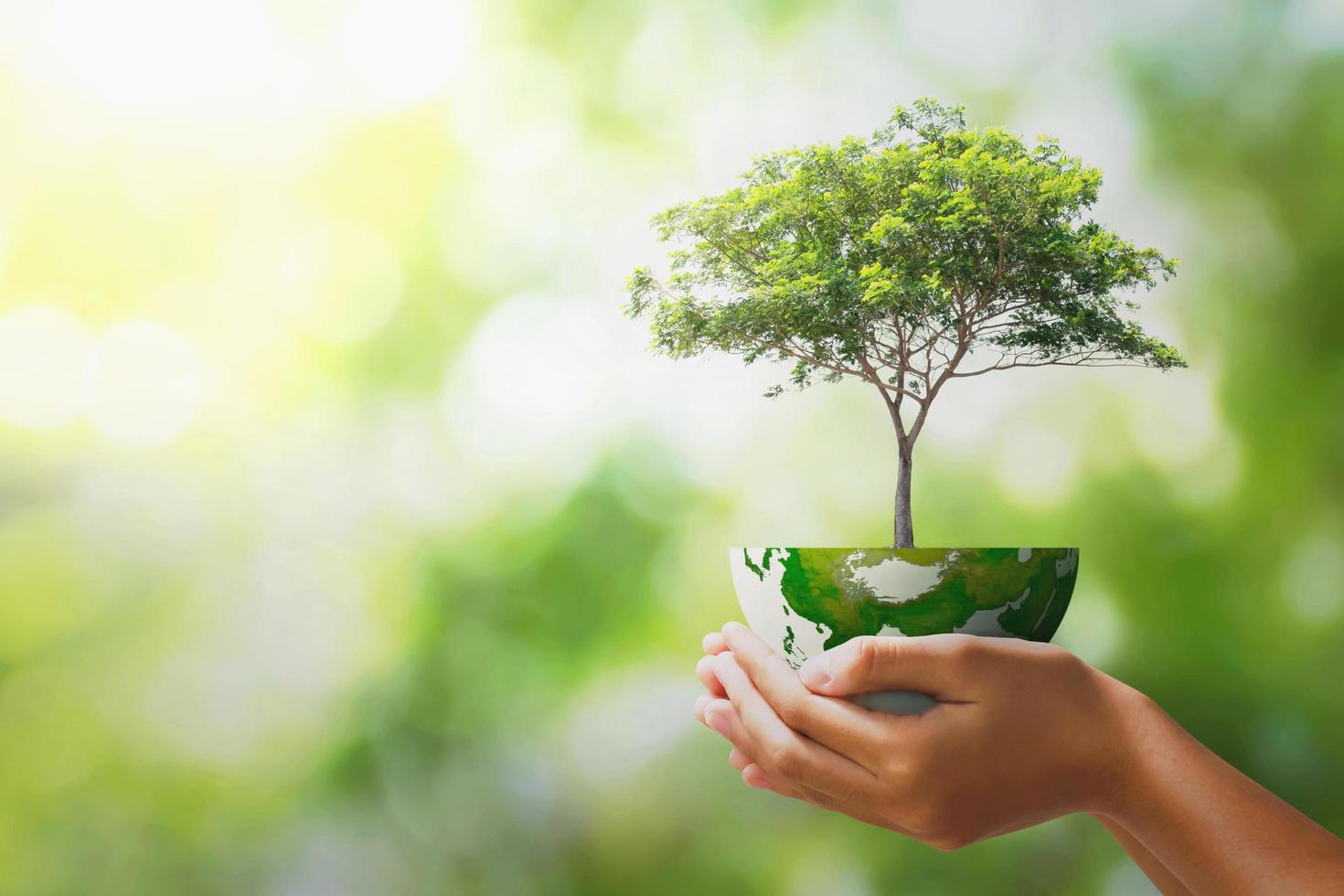 hand holding tree with half globe an d sunlight. concept eco earth day photo