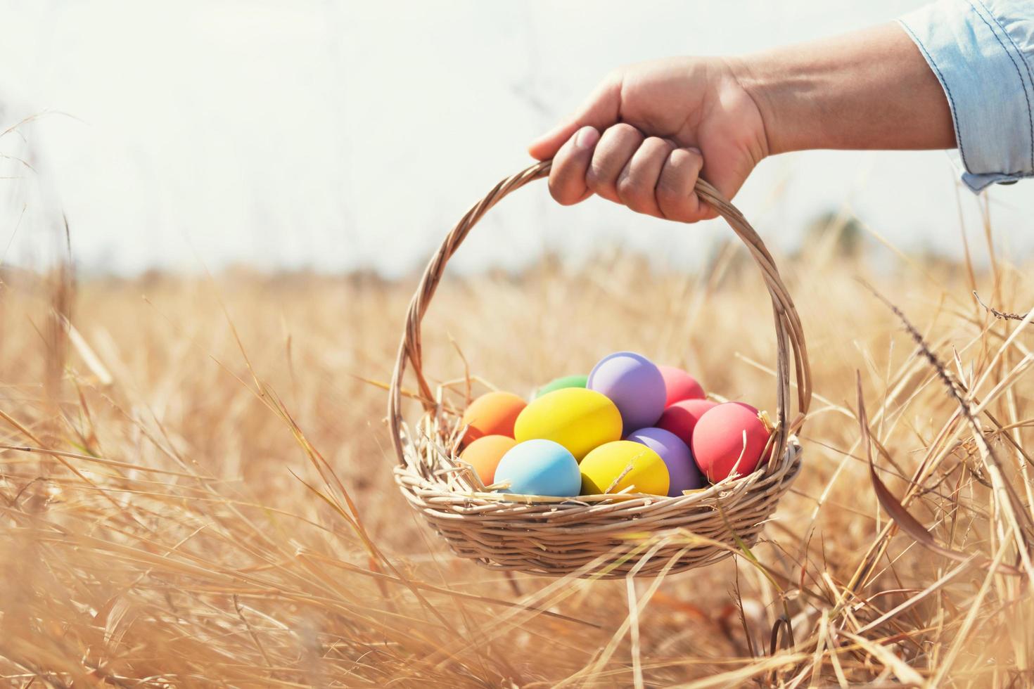 easter painted eggs in basket hand holding over meadow photo