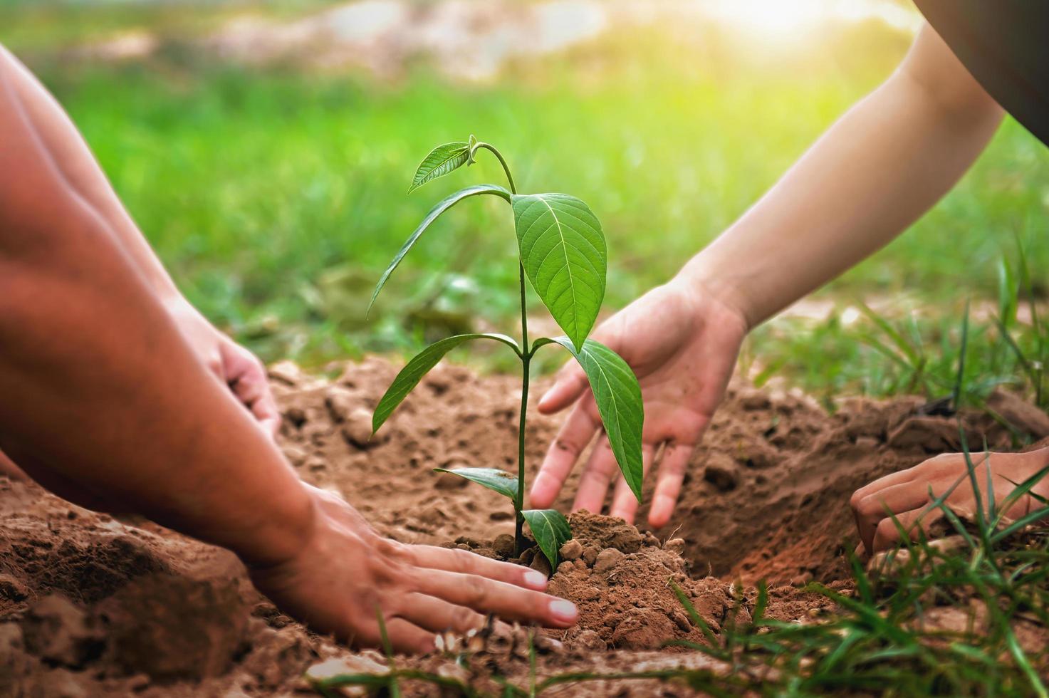 mother with children helping planting tree in nature for save earth. environment eco concept photo