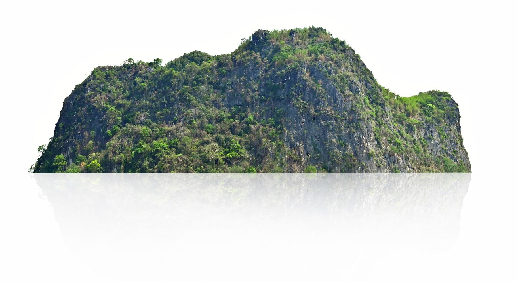 grande montaña con árbol aislar en blanco antecedentes foto