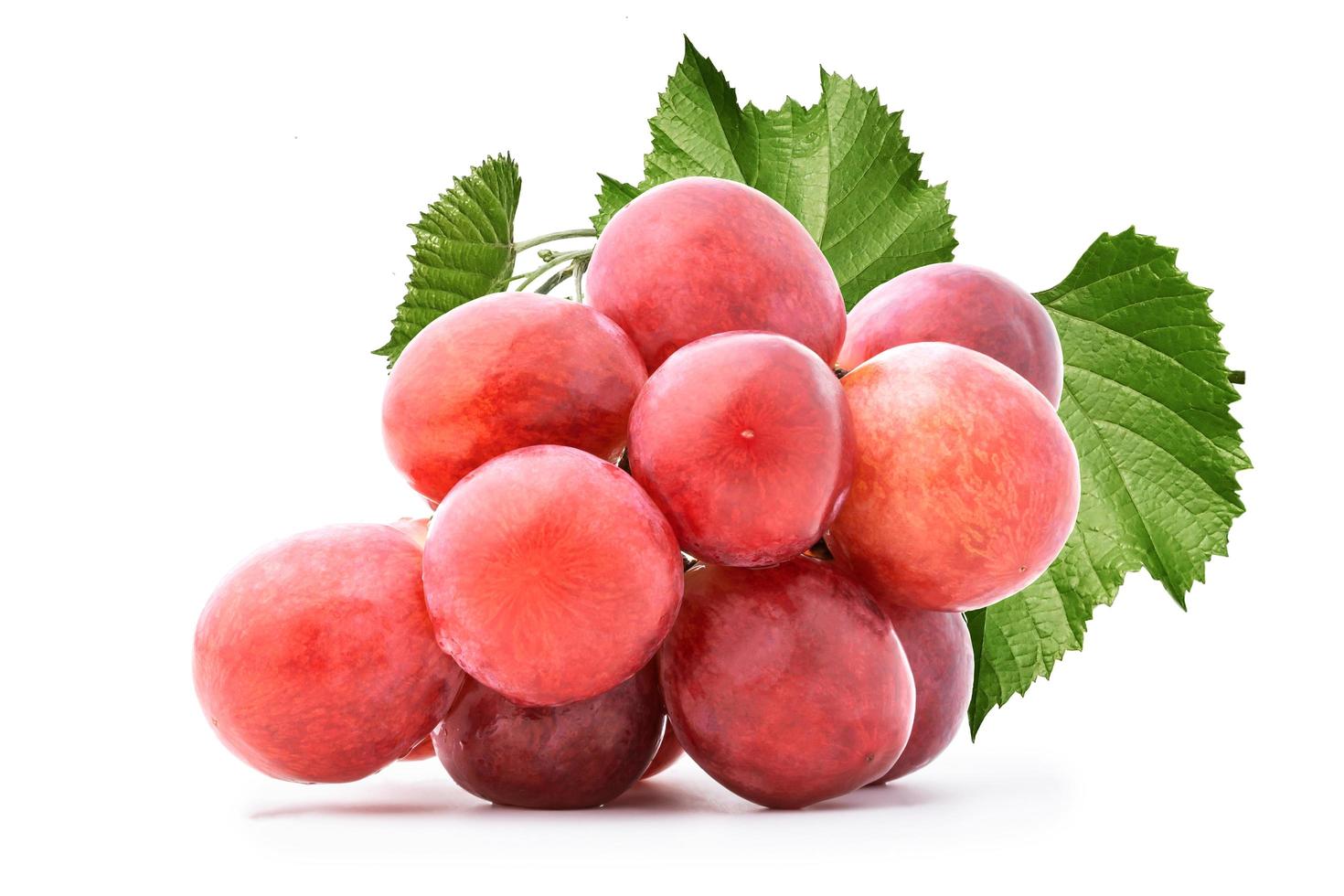 red grape and leaf isolate on white background photo