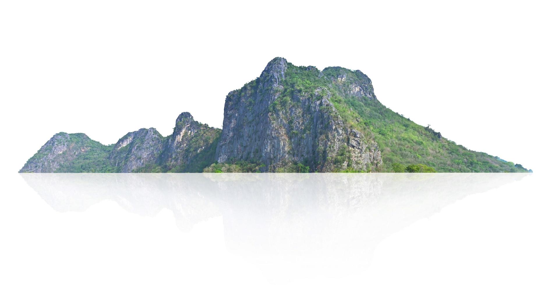 grande montaña con árbol aislar en blanco antecedentes foto