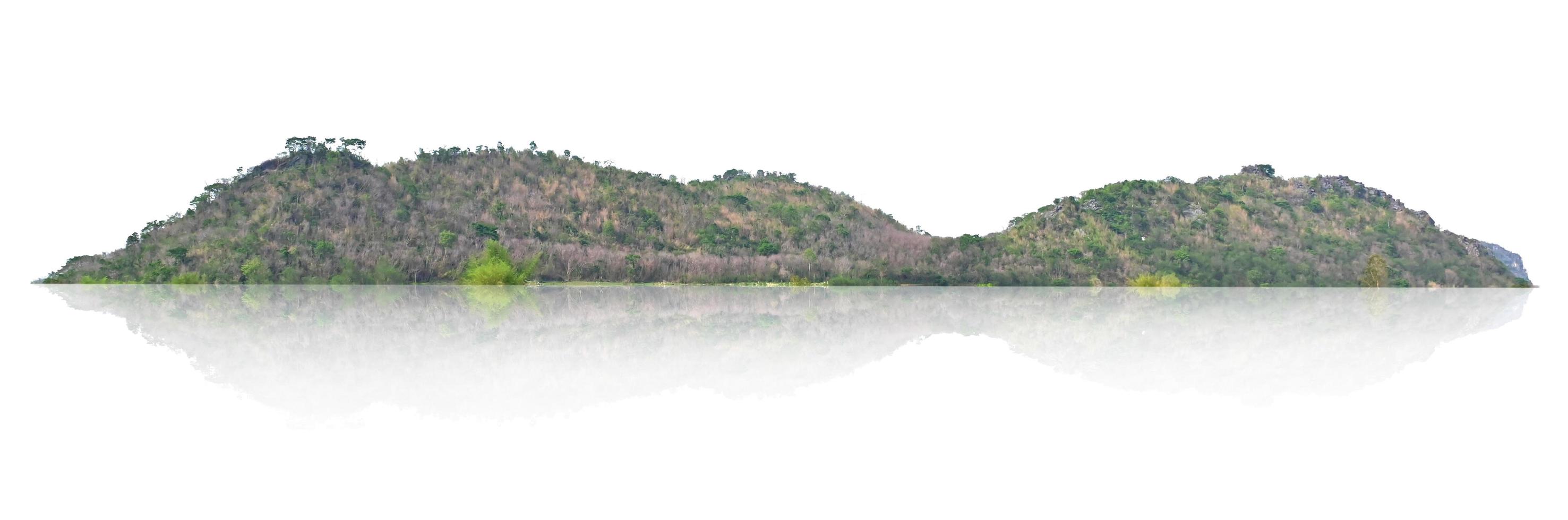 panorama mountain with tree isolate on white background photo