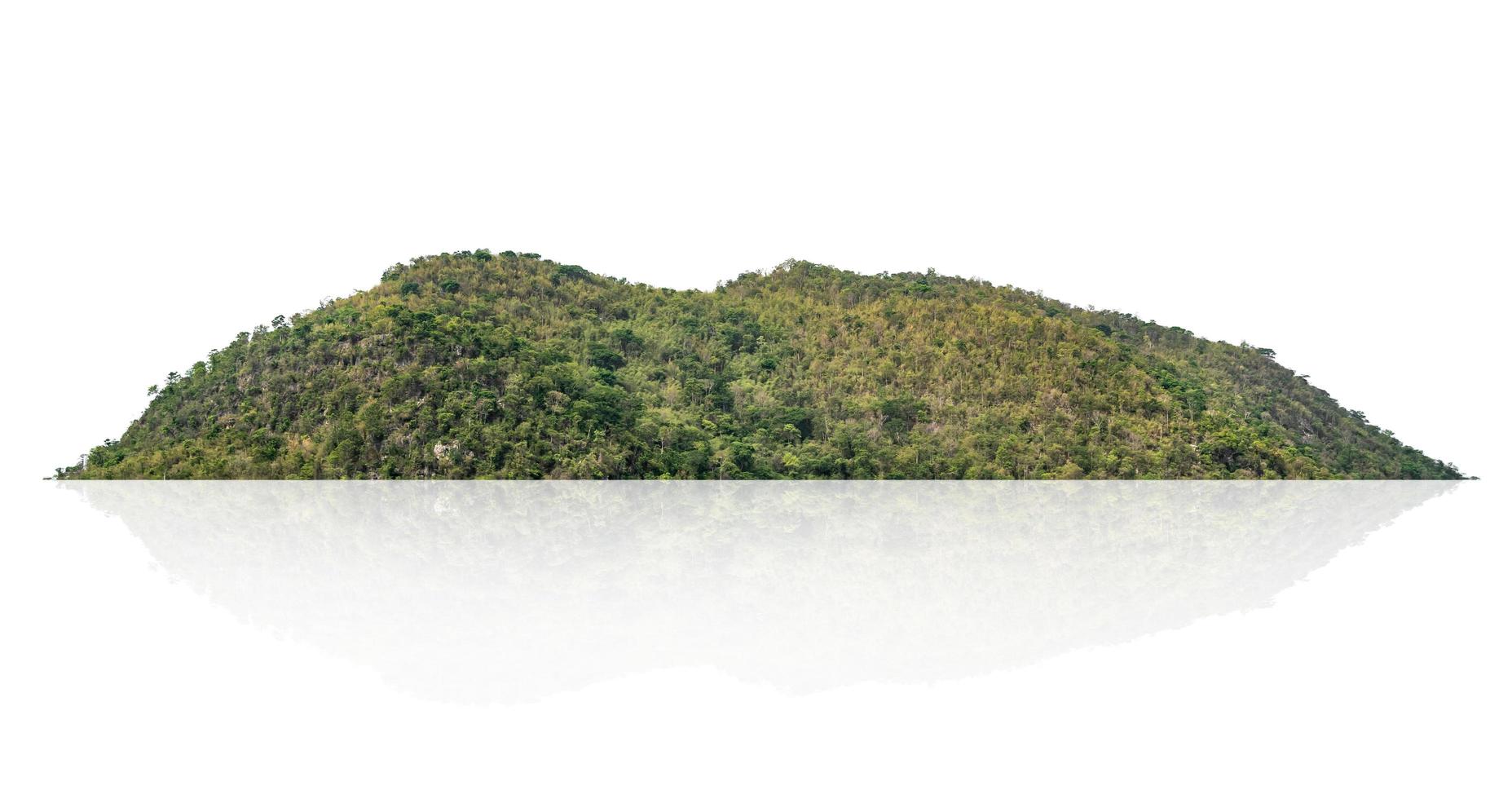 rock mountain with forest isolate on white background photo