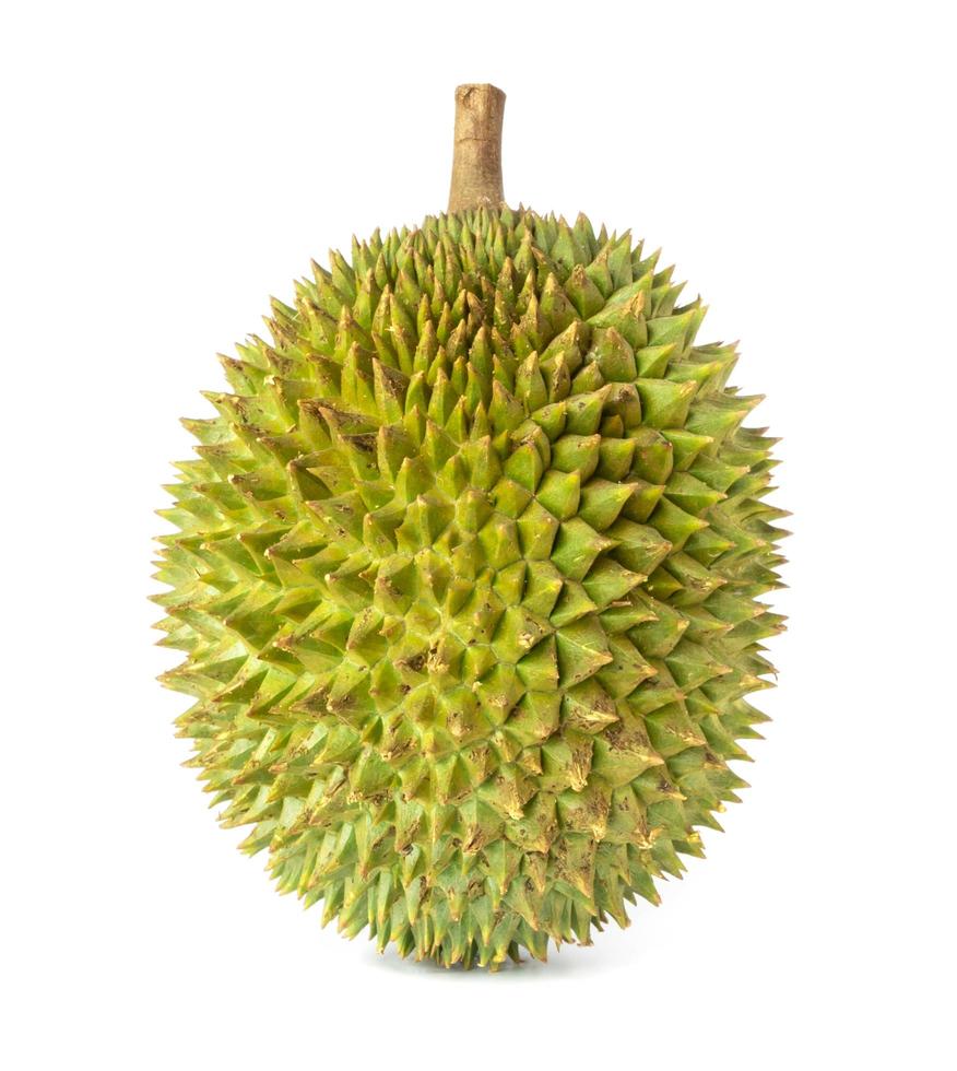 fresh green durian isolate on white background photo