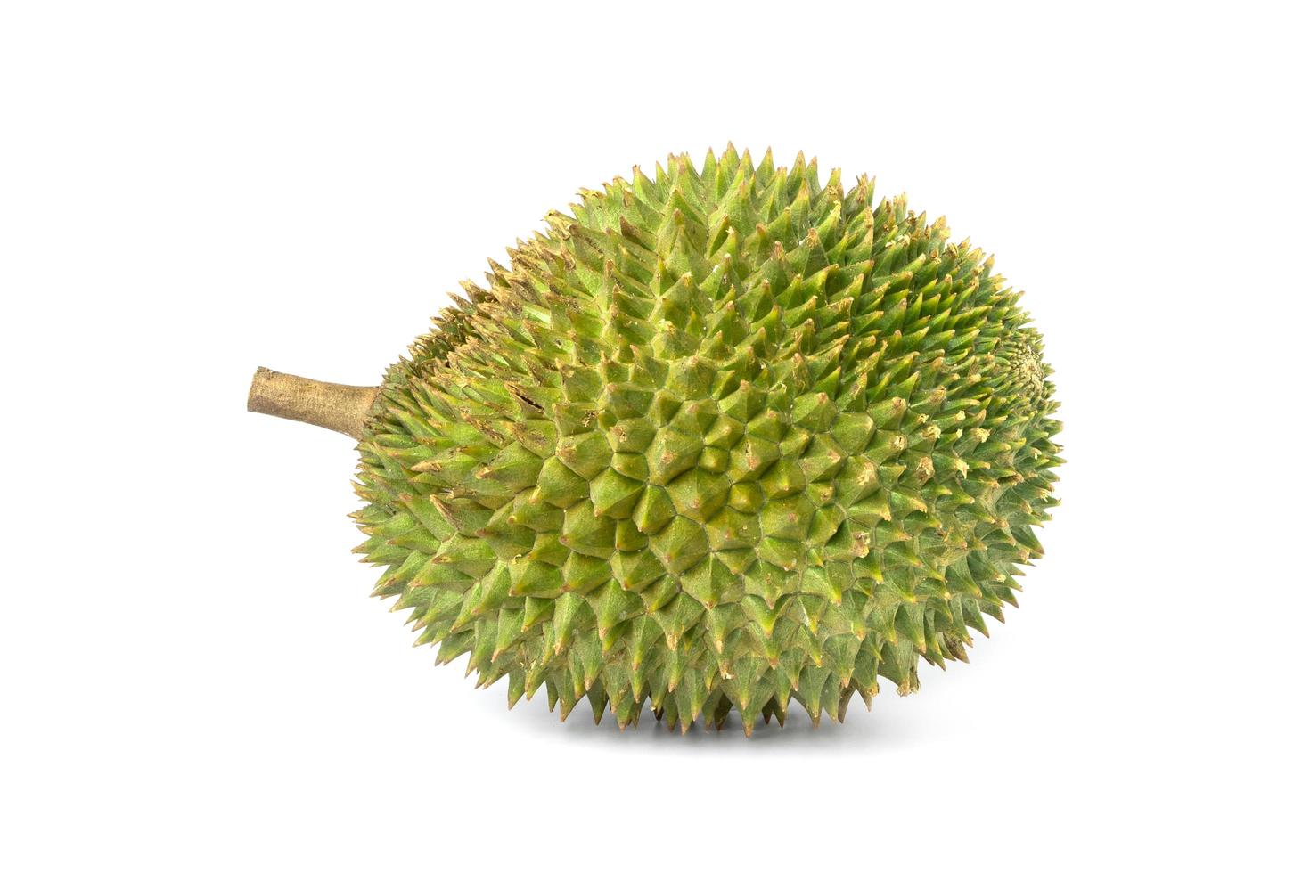 fresh green durian isolate on white background photo