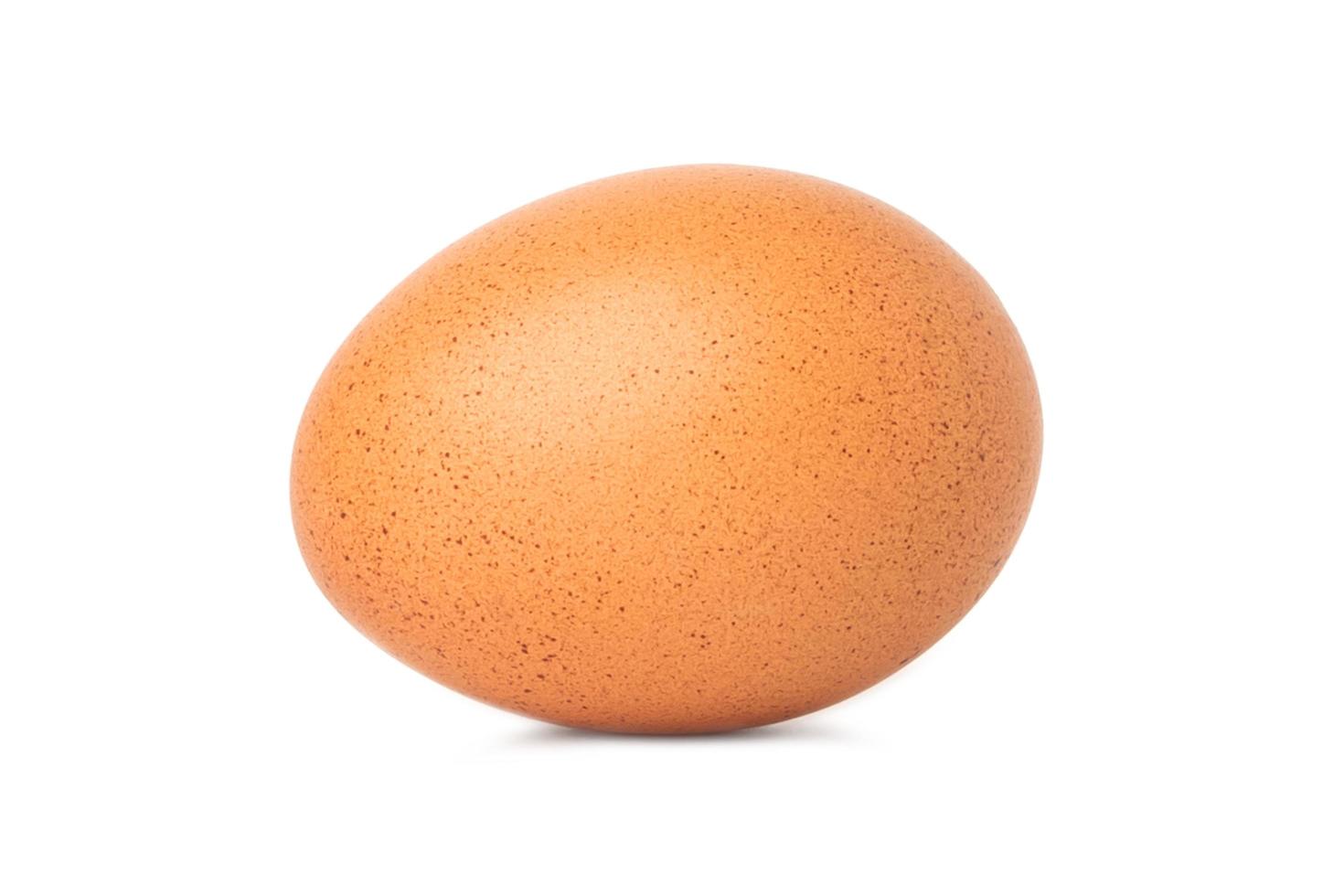 chicken egg isolate on white background photo