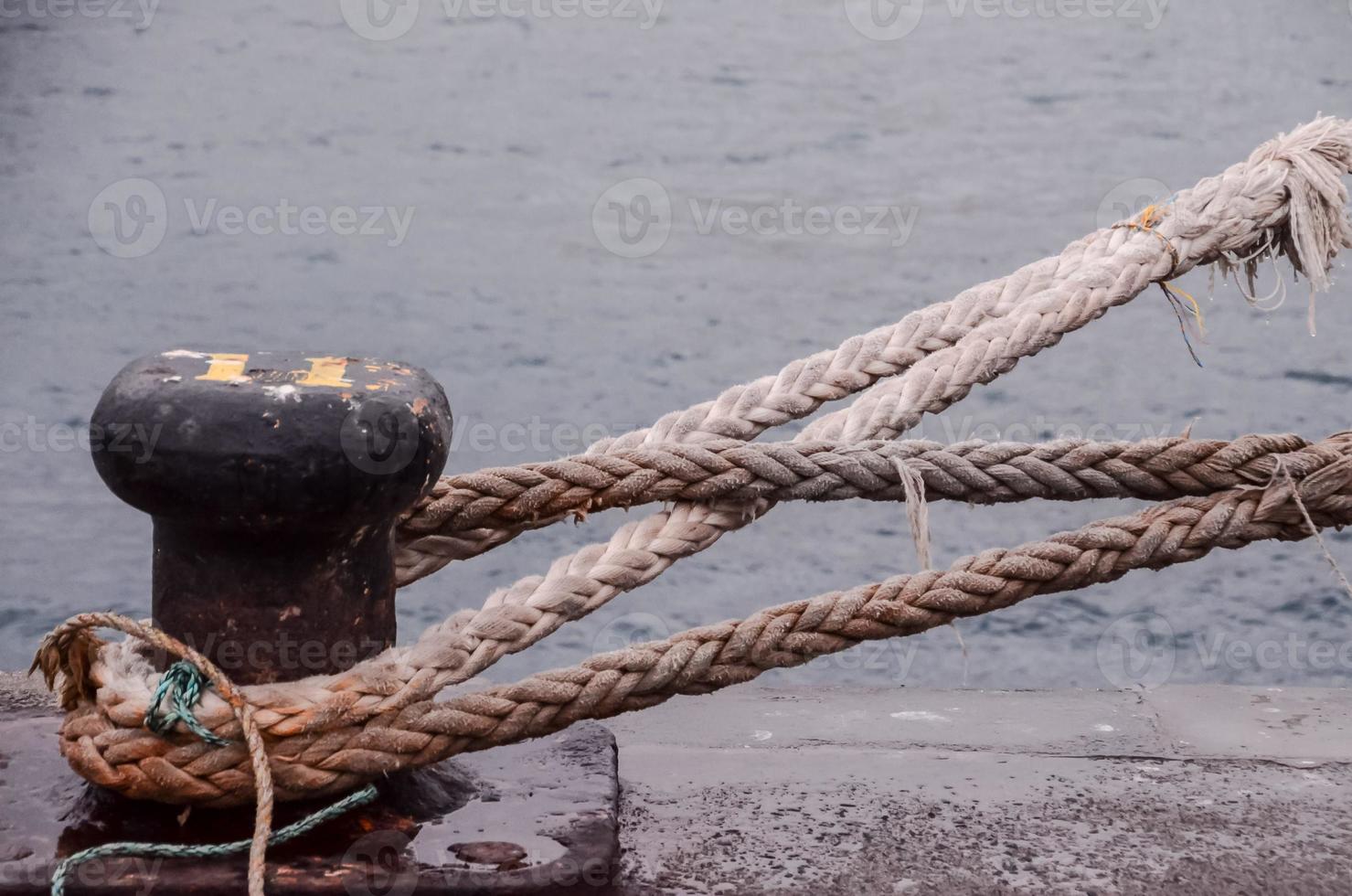 Rope on the dock photo