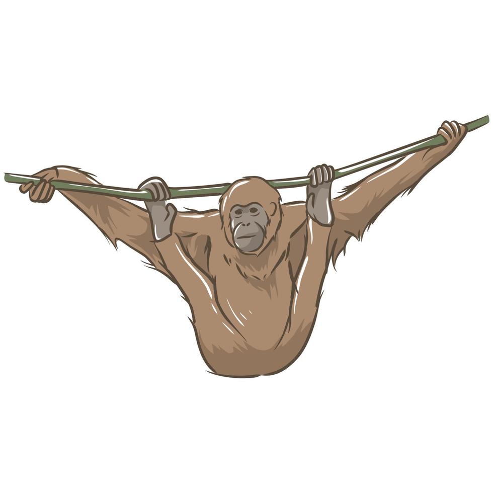 vector image of monkey and tree. wildlife pictures