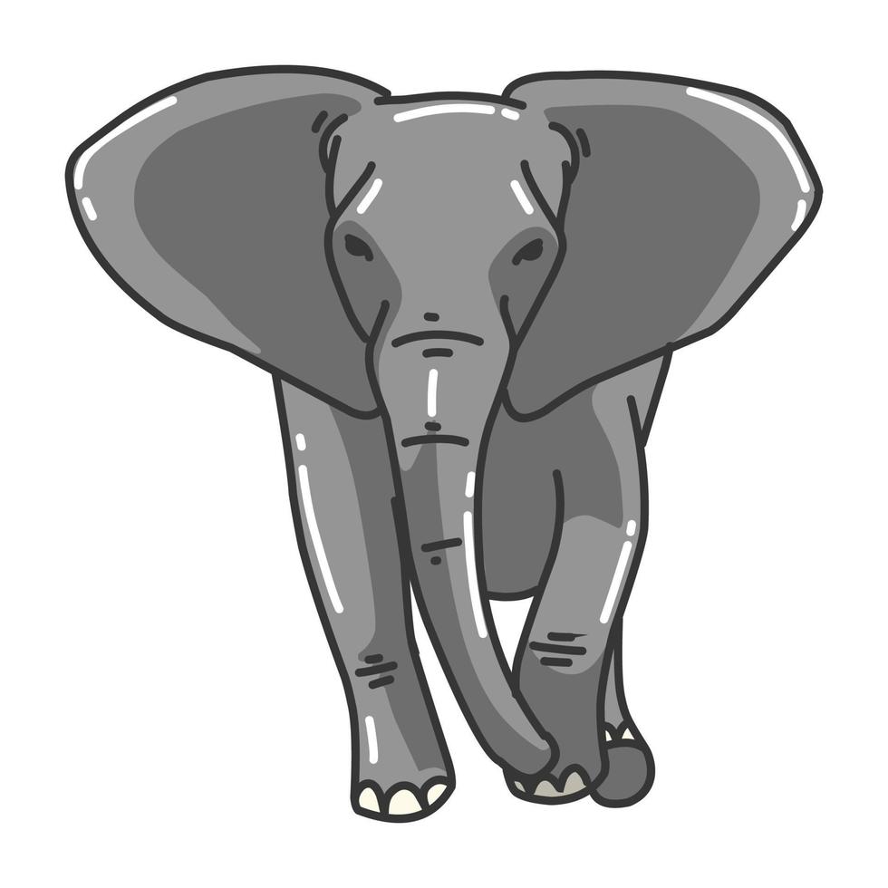 elephant vector image. wildlife pictures