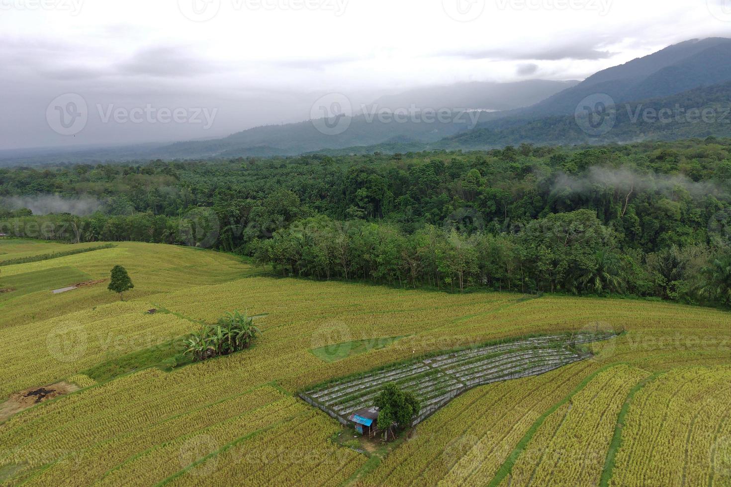 aerial view beautiful morning view from Indonesia about mountain and forest photo