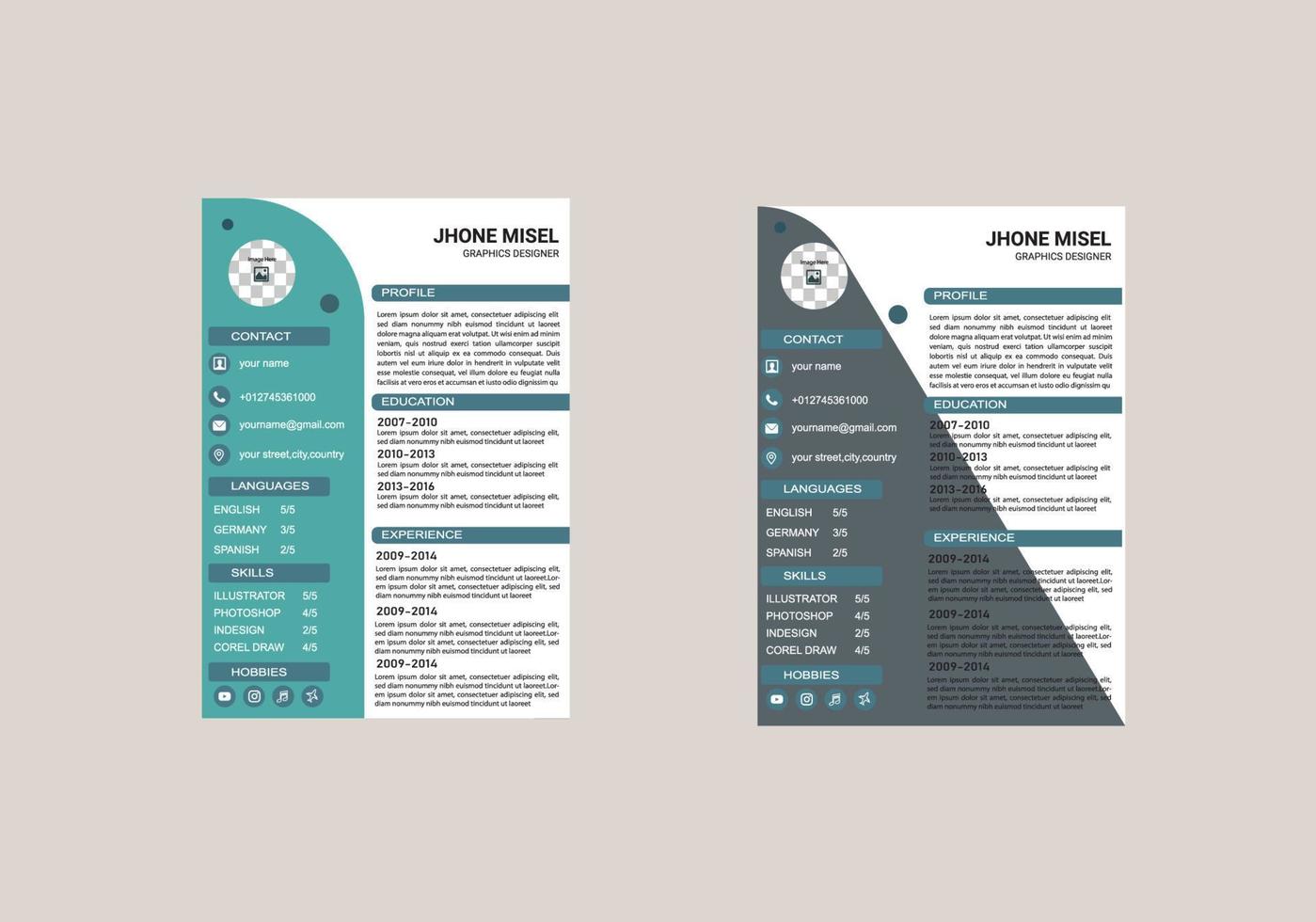 Professional European style resume - Professional European Style Resume Design With Standard Vector 