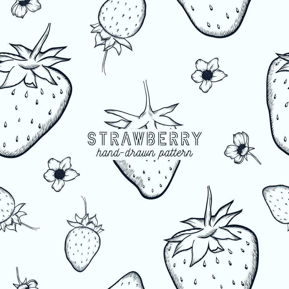 strawberry seamless pattern. hand drawn sketch illustration. vector