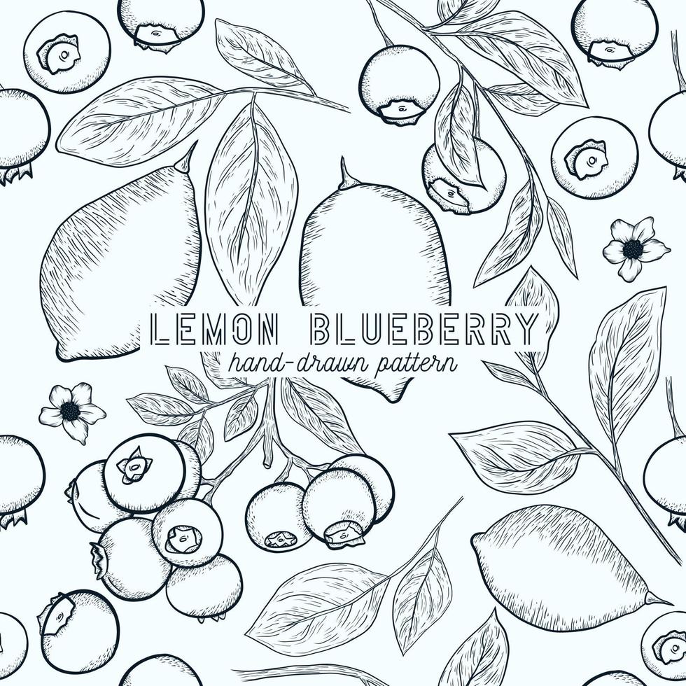 Blueberry and lemon seamless pattern. hand drawn sketch illustration. vector