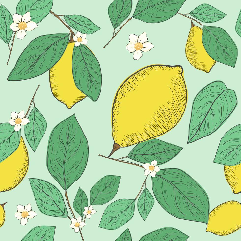 tropical yellow lemon seamless pattern. hand drawn sketch illustration. vector