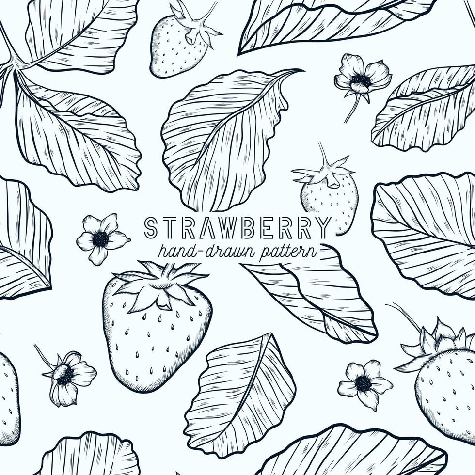 strawberry seamless pattern. hand drawn sketch illustration. vector