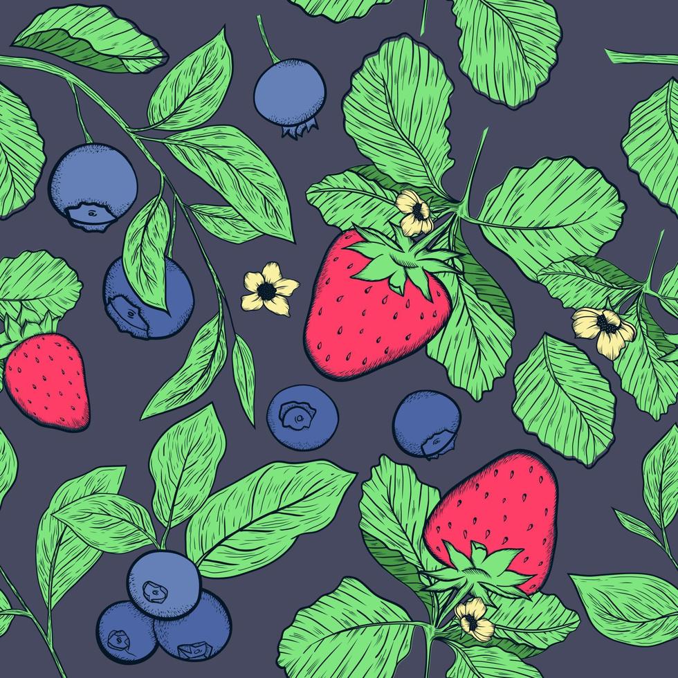 fresas y arándanos sin costura modelo en oscuro antecedentes. mano dibujado modelo. Fruta ilustración. vector