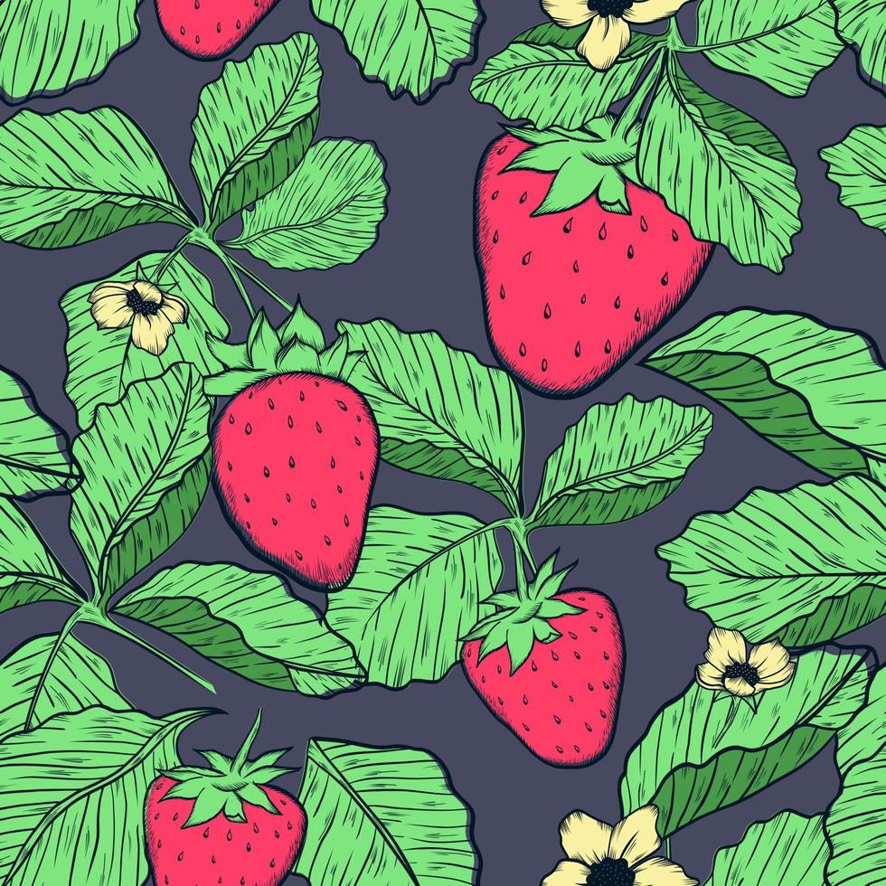 strawberries seamless pattern on dark background. hand drawn pattern. fruit illustration. vector