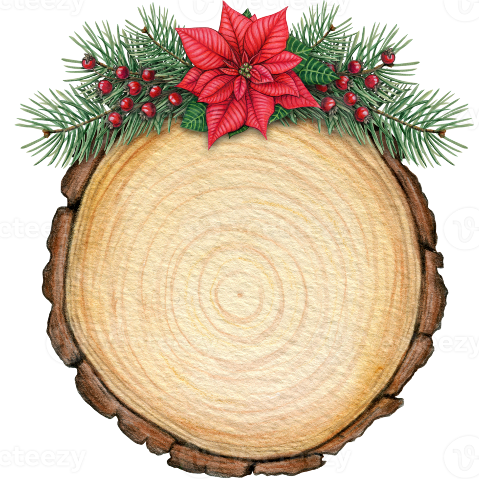 watercolor hand drawn christmas wooden slice png